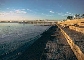 Harbor Steps Morning Swim