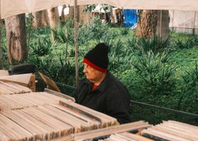 Record Fair in the Commons